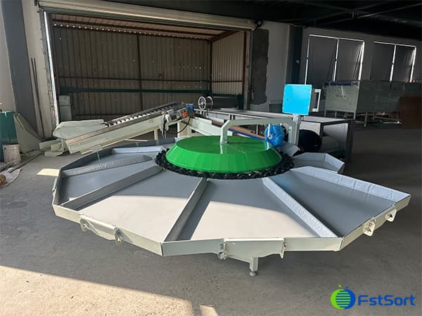 images/1755594678473persimmon sorting machine.jpg